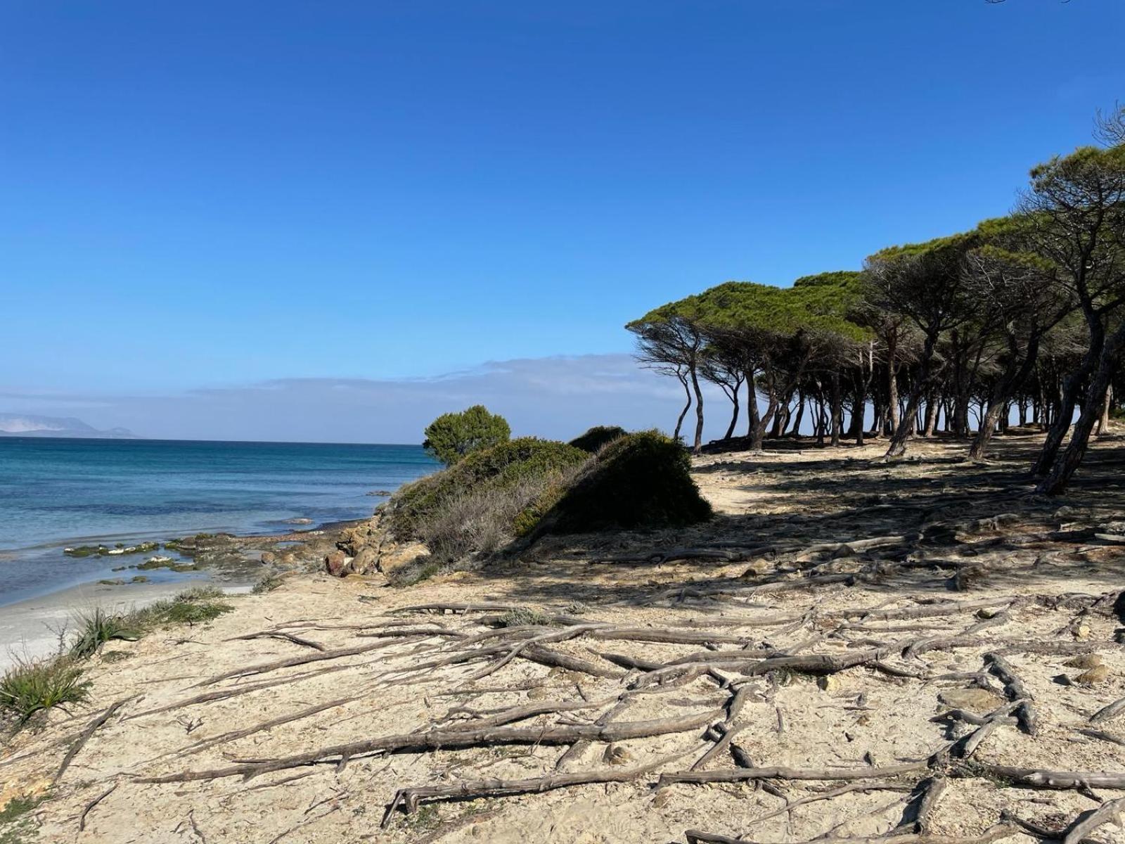Villa Sorres De Mare Budoni Exterior foto