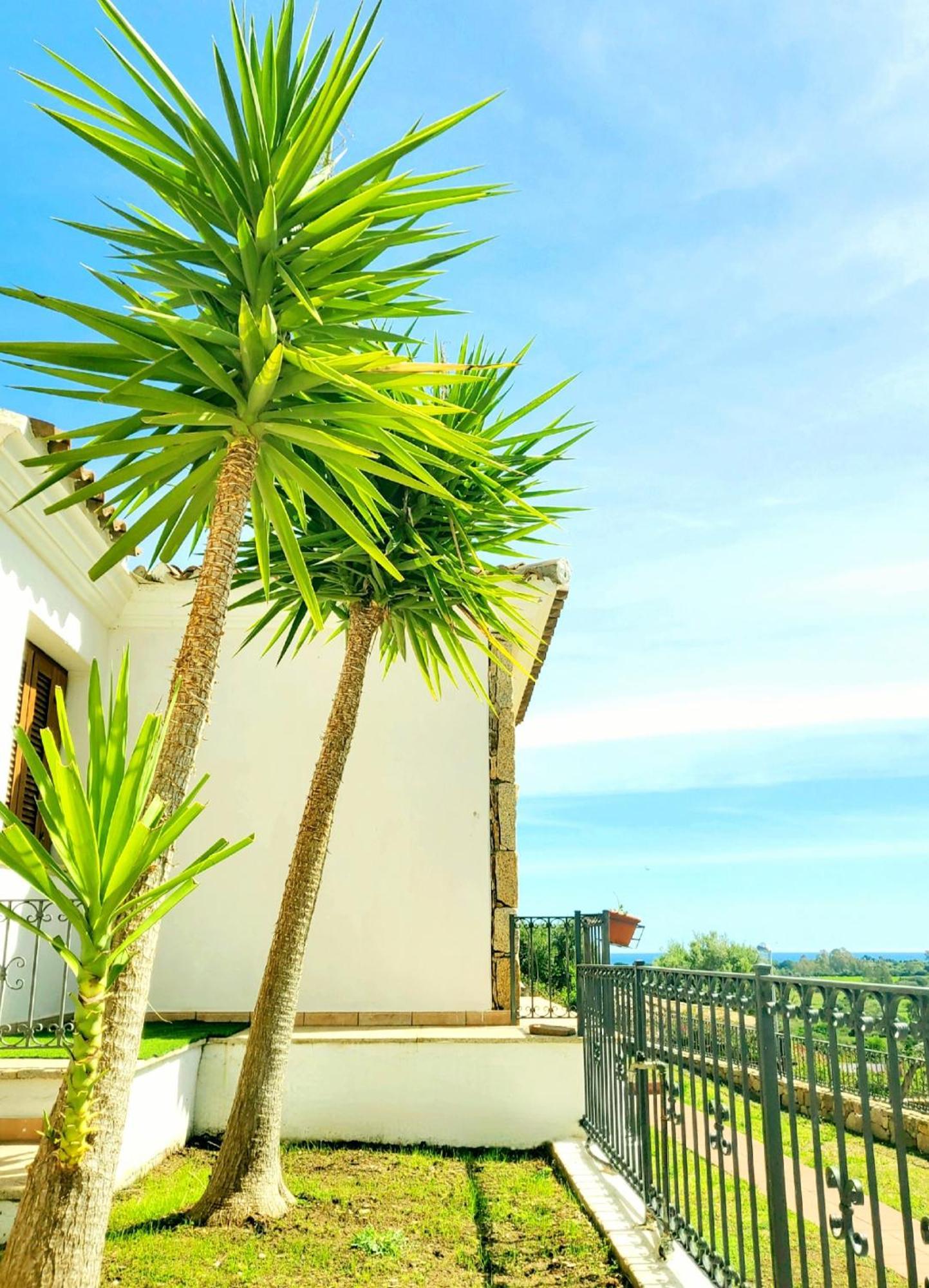 Villa Sorres De Mare Budoni Exterior foto