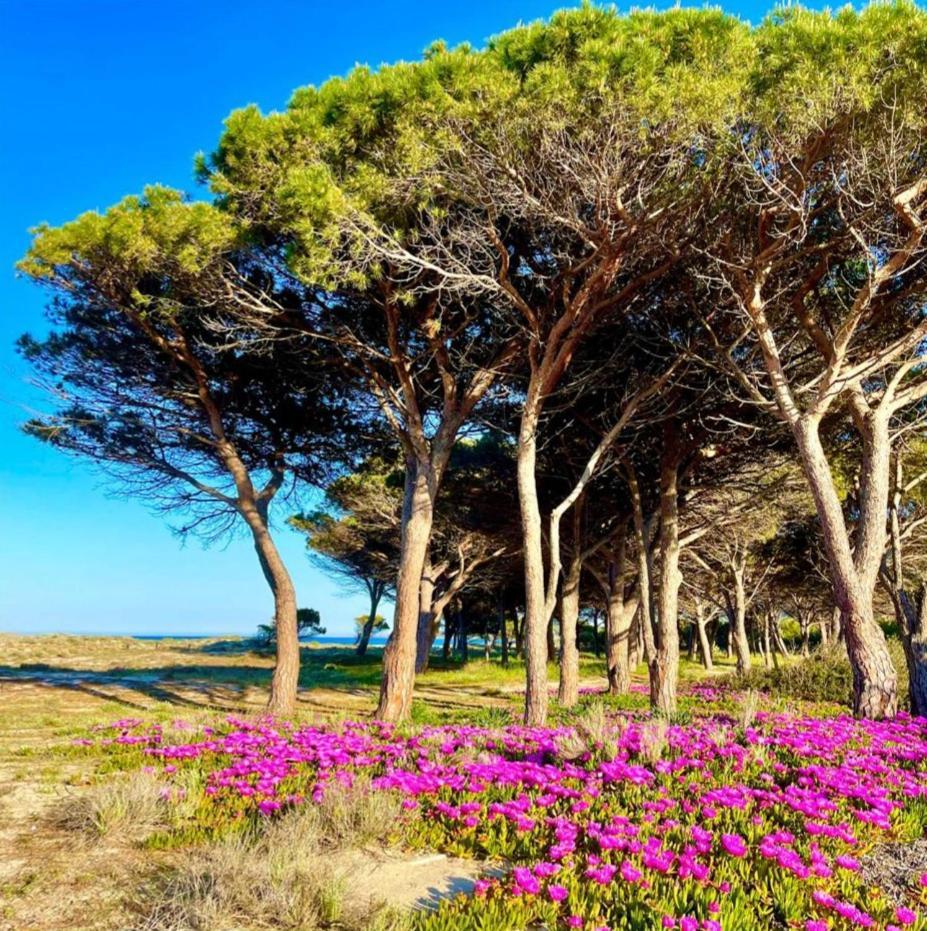 Villa Sorres De Mare Budoni Exterior foto
